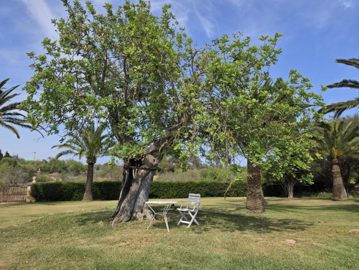 Image No.39-Maison de village de 6 chambres à vendre à Cala d'Or