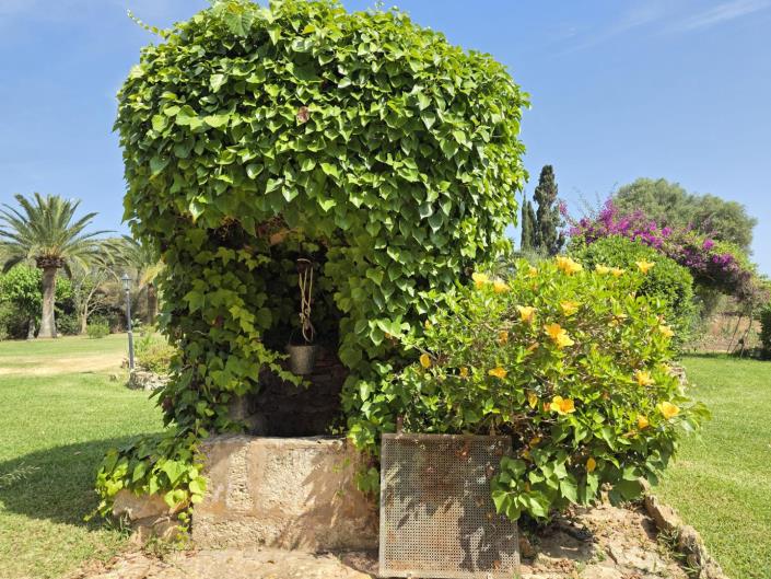 Image No.51-Maison de village de 6 chambres à vendre à Cala d'Or