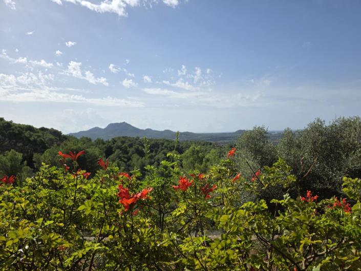 Image No.2-3 Bed Country House for sale