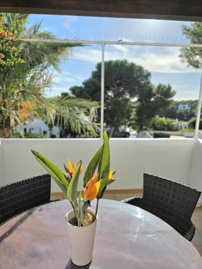 Image No.20-1 Bed Apartment for sale