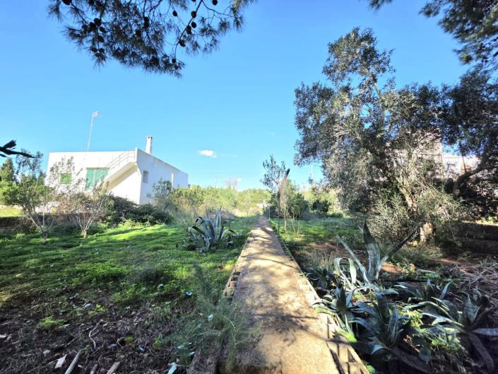 Image No.5-Plot for sale