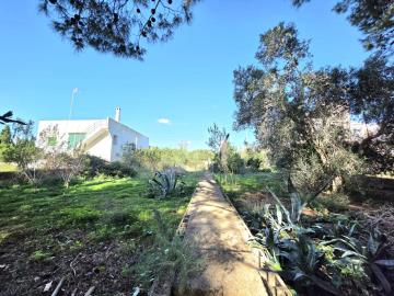 WhatsApp-Image-2025-10-22-at-14-09-11