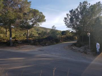 WhatsApp-Image-2026-01-15-at-13-17-15