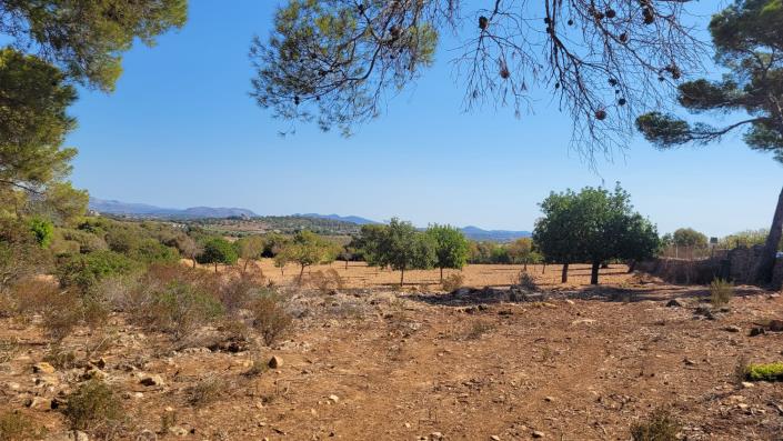 Image No.4-Terrain à vendre à Manacor