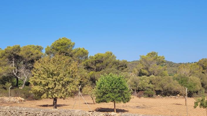 Image No.17-Terrain à vendre à Manacor