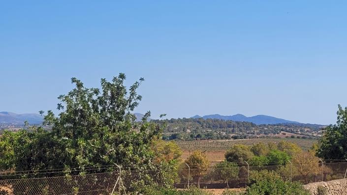 Image No.18-Terrain à vendre à Manacor