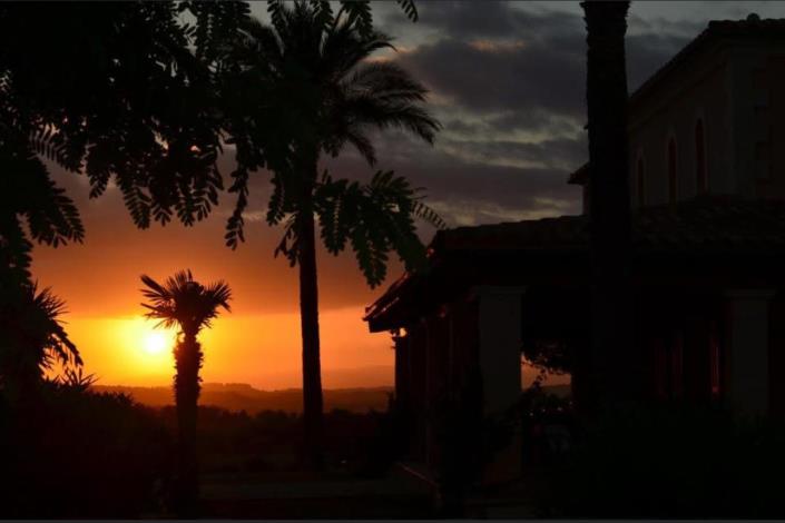 Image No.16-Finca de 6 chambres à vendre à Manacor