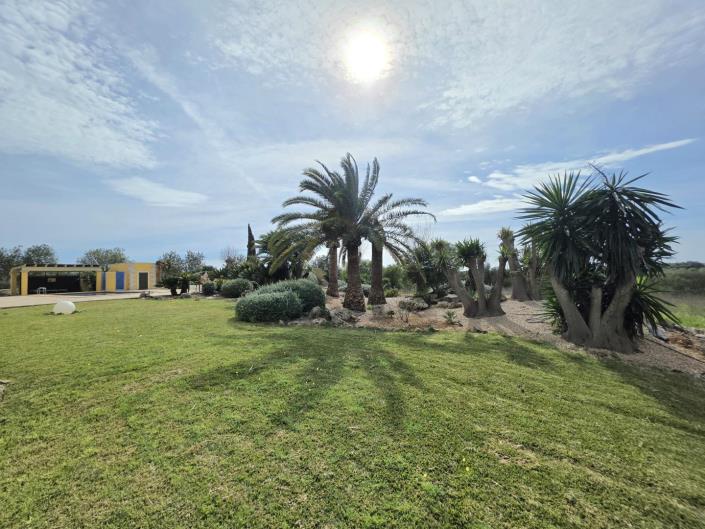 Image No.30-Finca de 6 chambres à vendre à Manacor