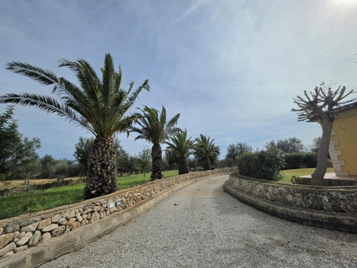 Image No.39-Finca de 6 chambres à vendre à Manacor