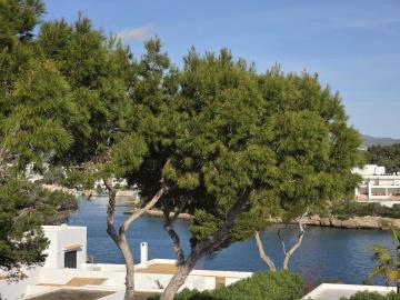 1 - Cala d'Or, Apartment