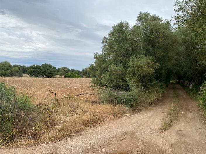 Image No.3-Plot for sale