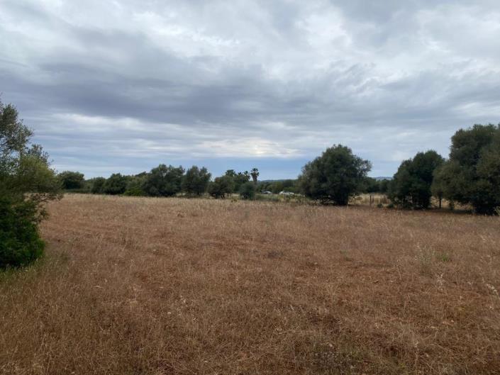 Image No.2-Plot for sale