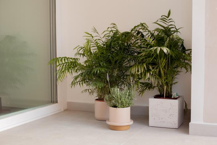 Image No.17-2 Bed Apartment for sale