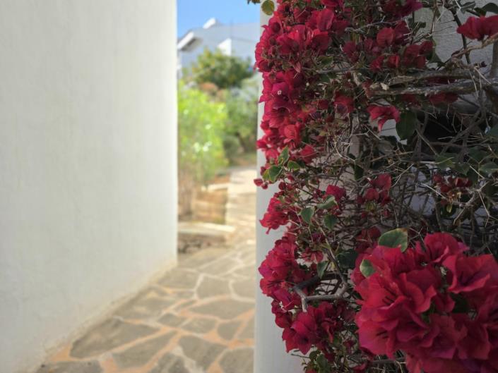 Image No.20-1 Bed Apartment for sale