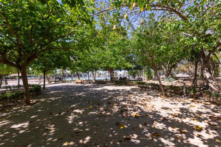 Image No.19-Appartement de 2 chambres à vendre à Torrevieja