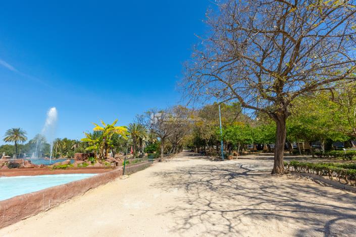 Image No.24-Appartement de 2 chambres à vendre à Torrevieja