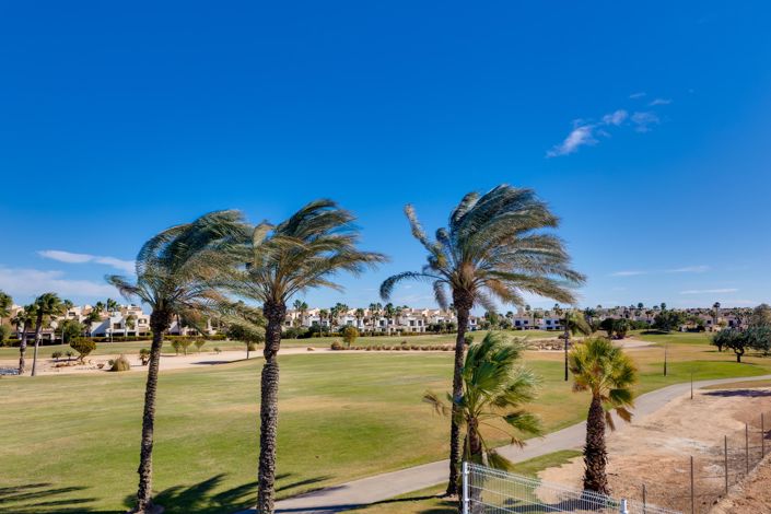 Image No.49-Villa de 3 chambres à vendre à Pilar de la Horadada