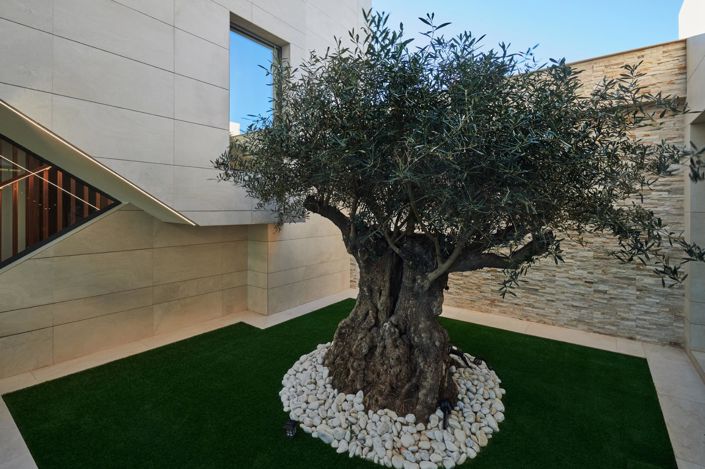 Image No.31-Villa de 7 chambres à vendre à Condado de Alhama