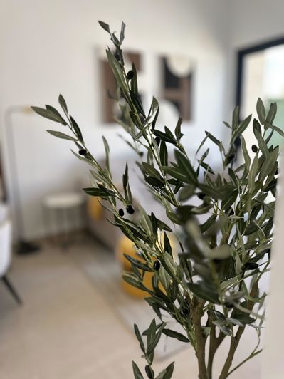 Image No.10-Propriété de 2 chambres à vendre à San Fulgencio