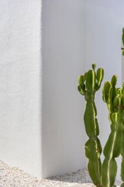 21b1ebe937b8110e396f6f577c607957