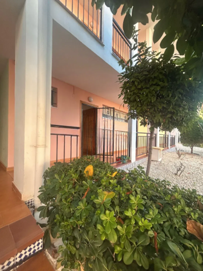 Image No.2-Appartement de 1 chambre à vendre à Torrevieja