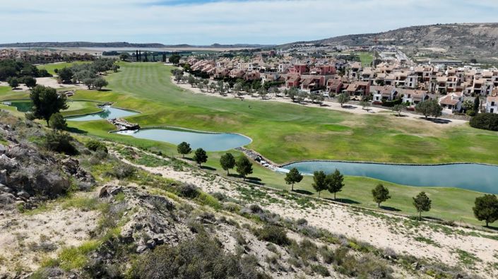 Image No.18-Villa de 3 chambres à vendre à Algorfa