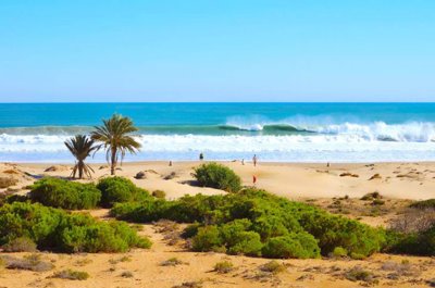 9d563dfefff65a81b550ea8a14b6111f