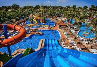 85df8118a42296ea65a221037008e877