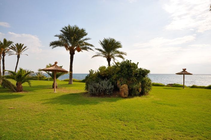 Image No.22-Appartement de 2 chambres à vendre à Torrevieja