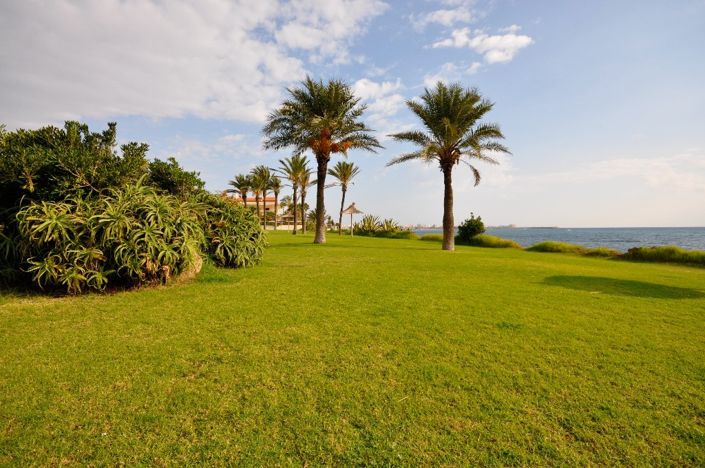 Image No.23-Appartement de 2 chambres à vendre à Torrevieja