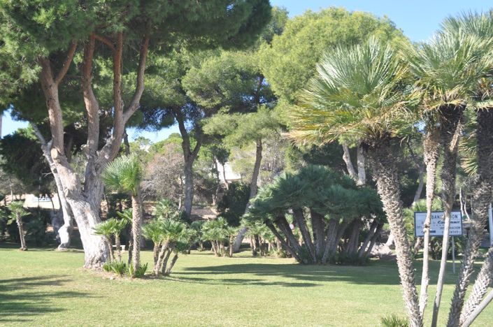 Image No.4-3 Bed Villa for sale