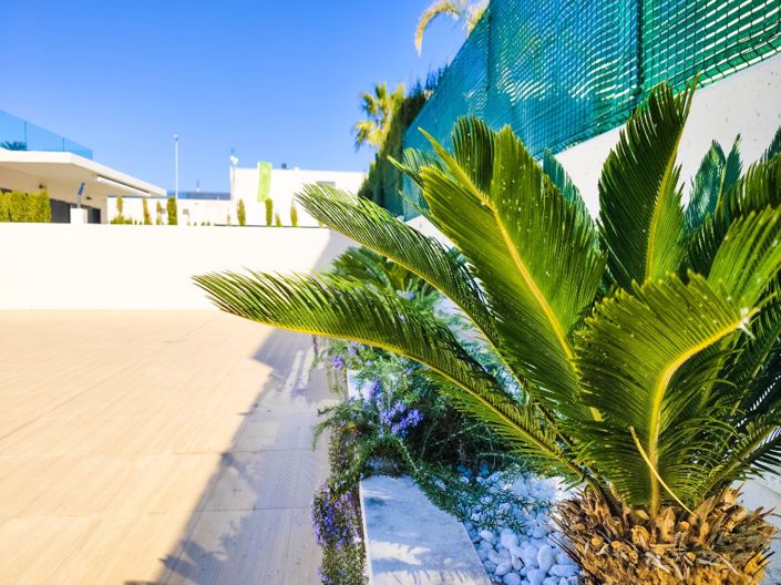 Image No.29-Villa de 3 chambres à vendre à Dehesa de Campoamor