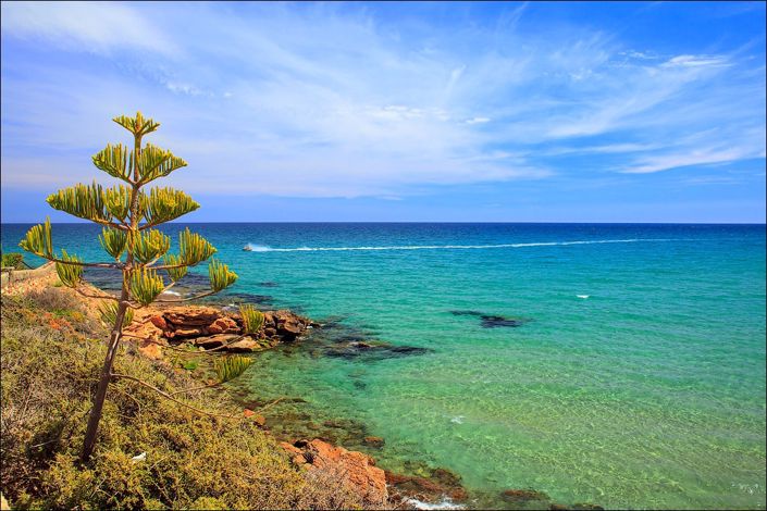 Image No.23-3 Bed Villa for sale