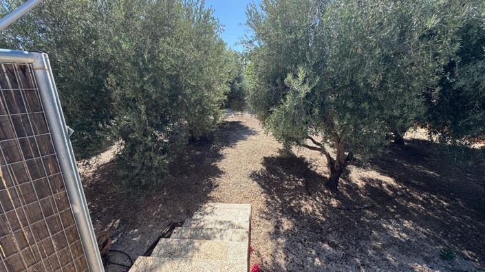 Image No.24-Villa de 6 chambres à vendre à Albatera