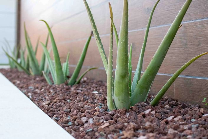 Image No.4-Villa de 3 chambres à vendre à Los Montesinos