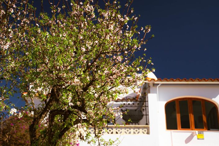 Image No.3-Maison de ville de 3 chambres à vendre à L'Alfas del Pi