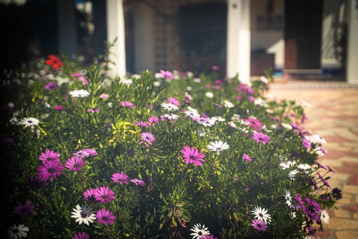 Image No.33-Maison de ville de 3 chambres à vendre à L'Alfas del Pi