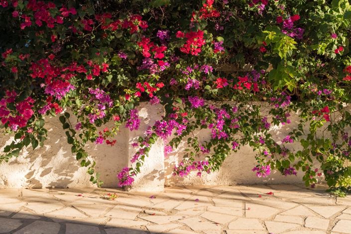 Image No.34-Maison de ville de 3 chambres à vendre à L'Alfas del Pi