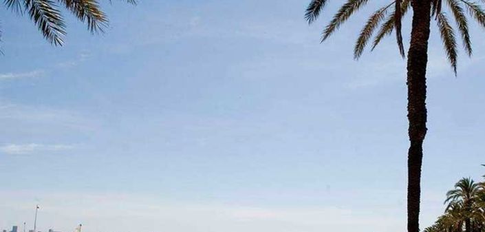 Image No.48-3 Bed Villa for sale