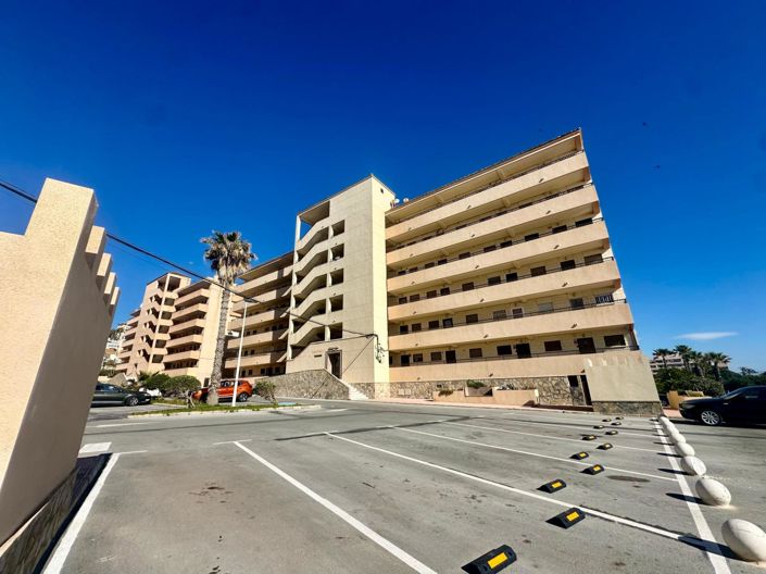 Image No.21-Appartement de 1 chambre à vendre à Torrevieja