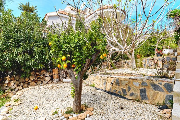 Image No.43-Villa de 4 chambres à vendre à Dehesa de Campoamor