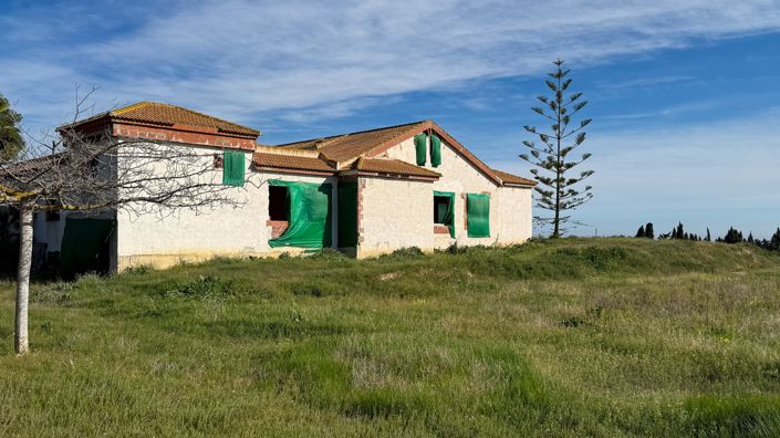 Image No.4-Finca de 8 chambres à vendre à Guardamar del Segura