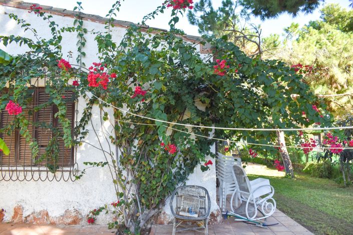 Image No.45-Villa de 4 chambres à vendre à Orihuela Costa
