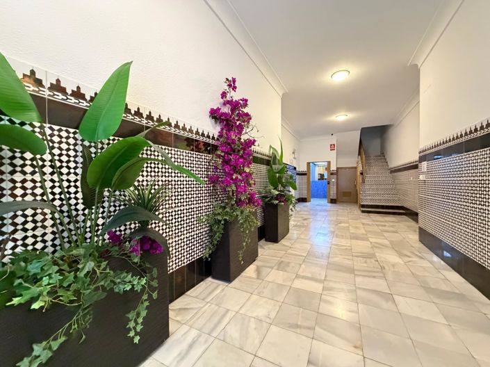 Image No.51-1 Bed Apartment for sale