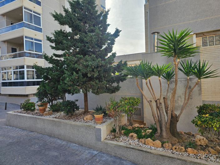 Image No.28-Appartement de 2 chambres à vendre à Torrevieja