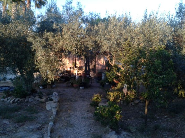 Image No.11-Finca for sale