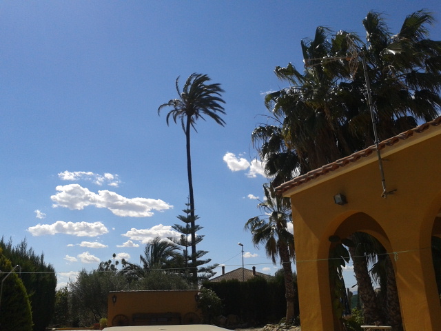Image No.13-Finca for sale