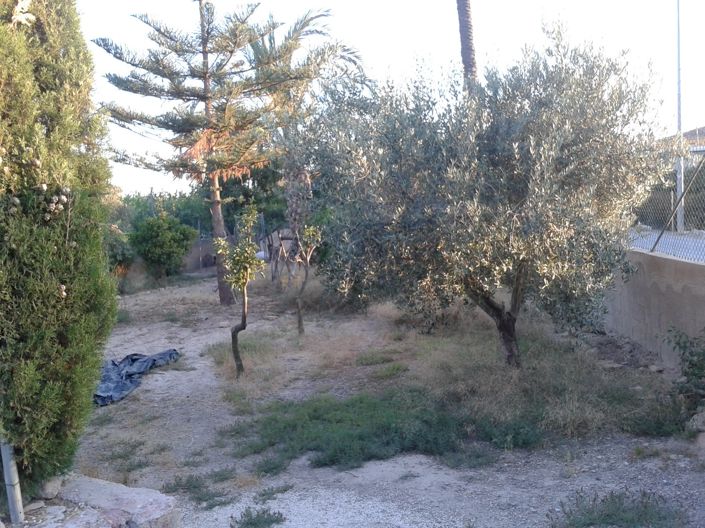 Image No.4-Finca for sale