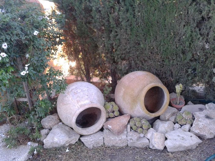 Image No.5-Finca for sale