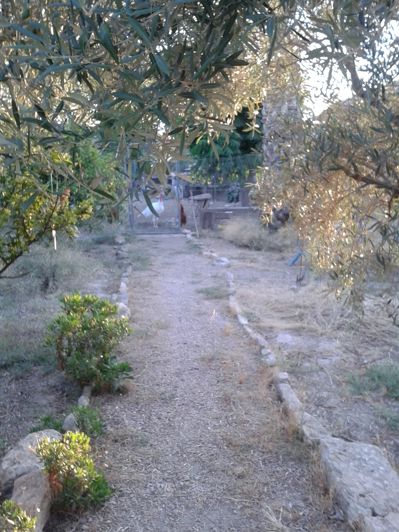 Image No.7-Finca for sale